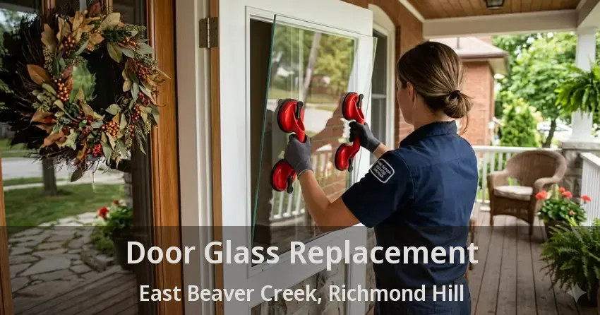 Door Glass Replacement East Beaver Creek, Richmond Hill - ON