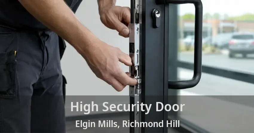 High Security Door Elgin Mills, Richmond Hill - ON